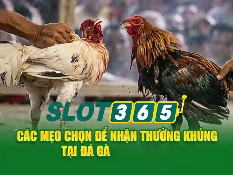 Giao diện nạp tiền slot365 qua chuyển khoản ngân hàng