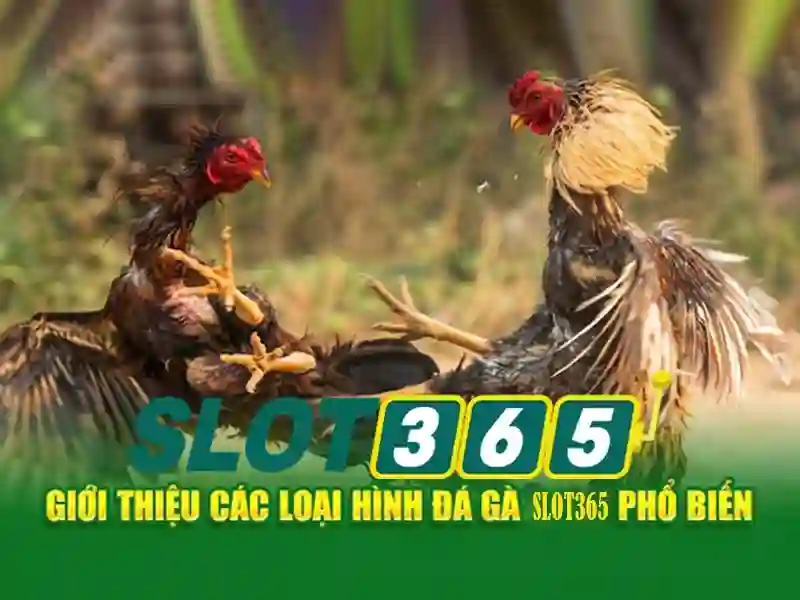 An toàn và bảo mật