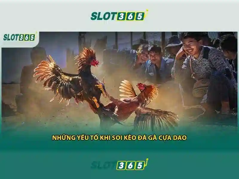 Trải nghiệm người dùng tại Slot365 Trải nghiệm người dùng tại Slot365