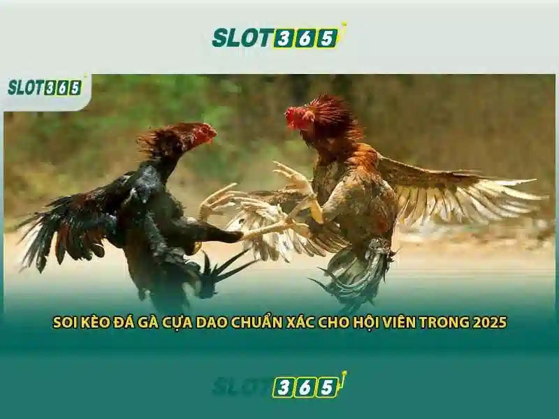 Việt Vị Trong Bóng Đá