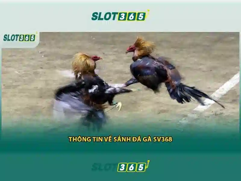 Các tính năng nổi bật của Slot365