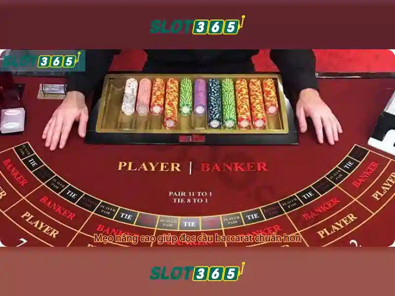 Slot365 là gì và tại sao nên chọn Slot365 là gì và tại sao nên chọn