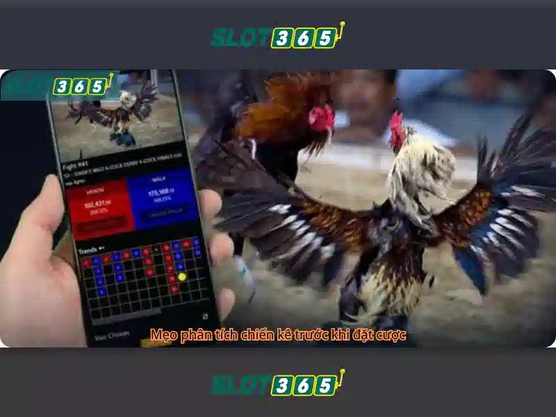 An toàn và công bằng tại slot365