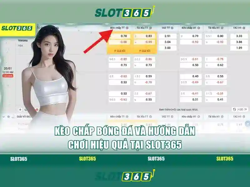 Lịch sử và nguồn gốc Slot365