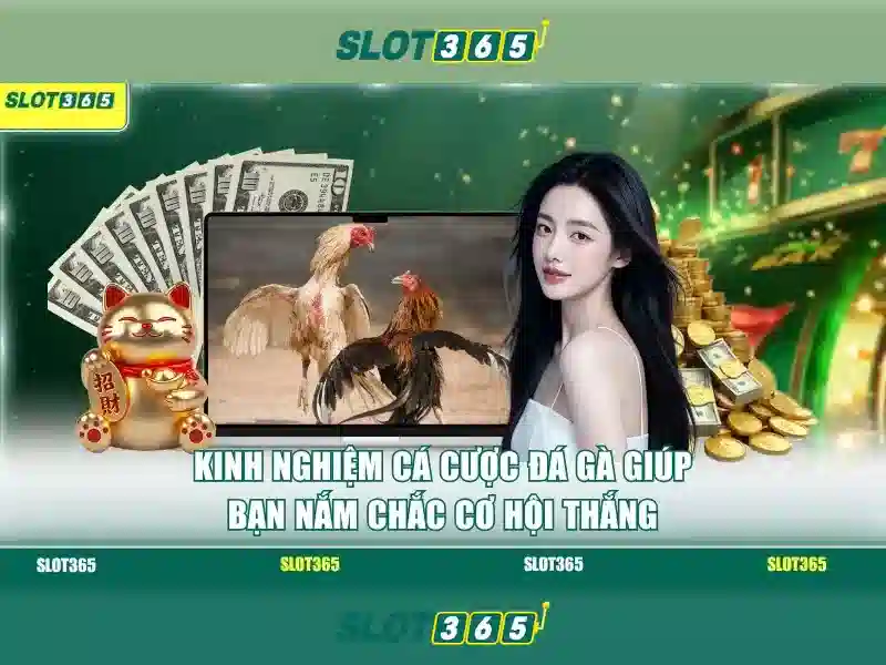 An toàn và thanh toán 