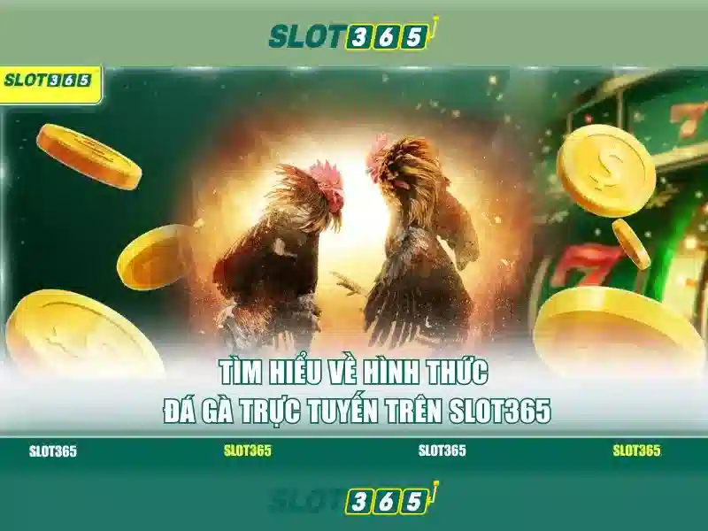 Slot365 là gì? Slot365 là gì?