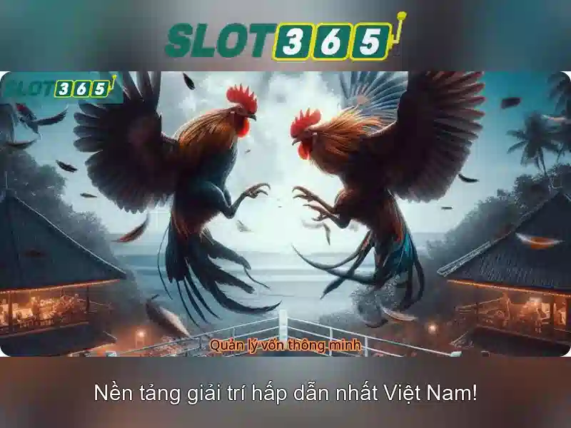 Việt Vị Trong Bóng Đá