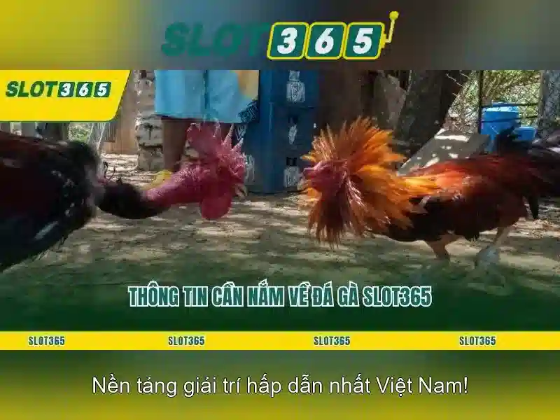 Giới thiệu về Slot365
