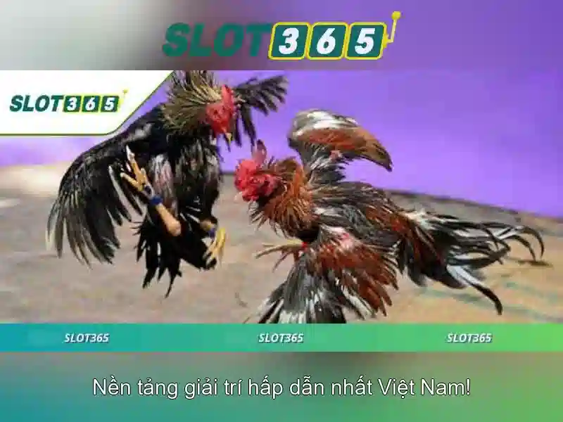 Đăng ký và rút tiền dễ dàng