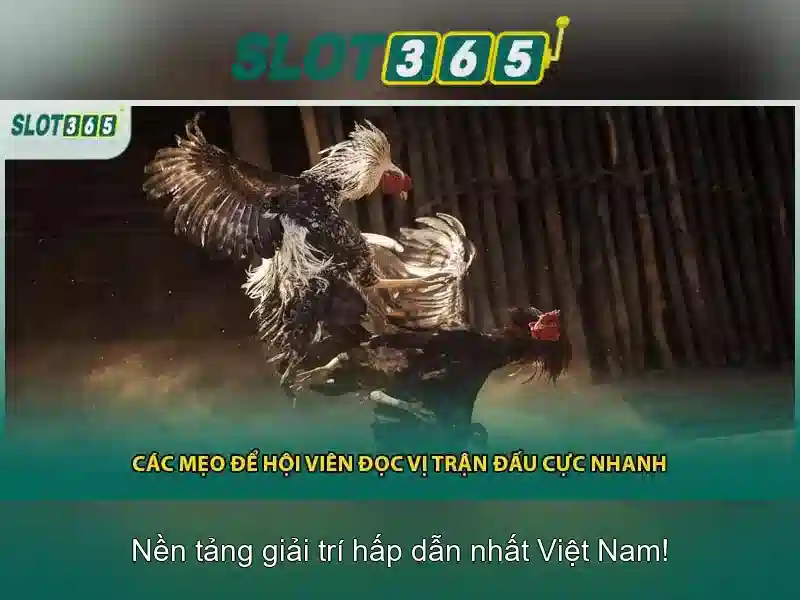 Bull Bull trực tuyến