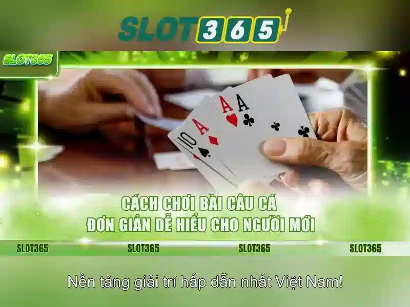 Hỗ trợ khách hàng 24/7