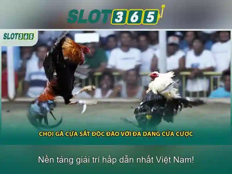 Hỗ trợ khách hàng và kết luận