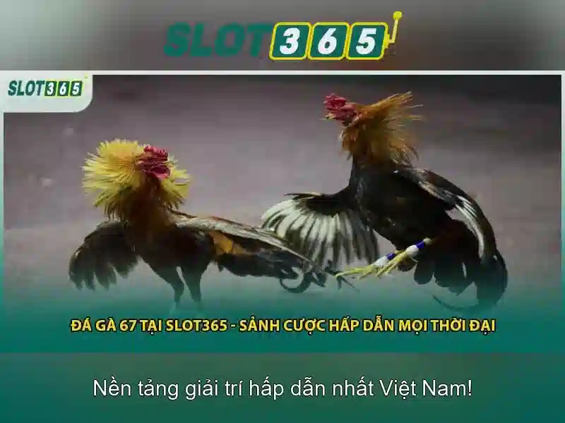 Tính năng nổi bật Tính năng nổi bật