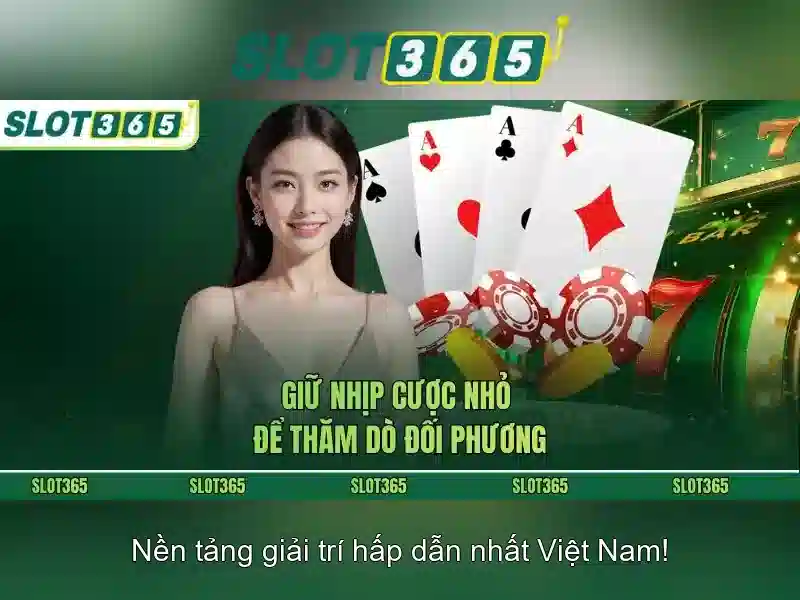 Tai App Detailed Steps