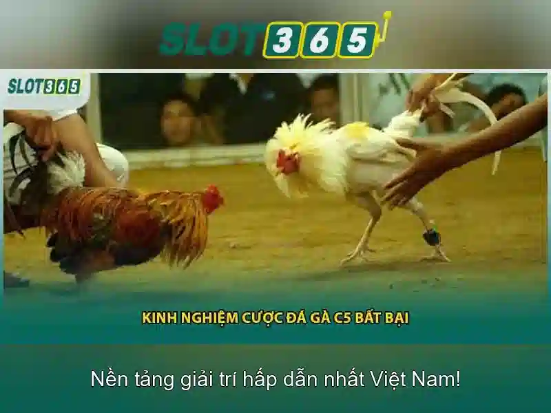 Việt Vị Trong Bóng Đá