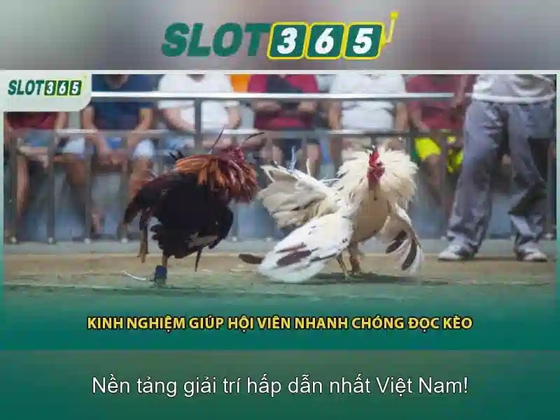 Việt Vị Trong Bóng Đá