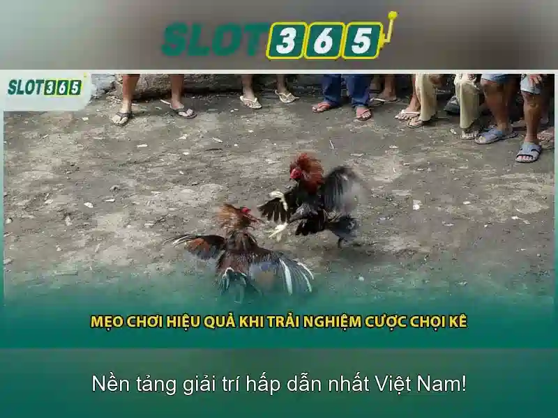 Trò chơi và nhà cung cấp Trò chơi và nhà cung cấp