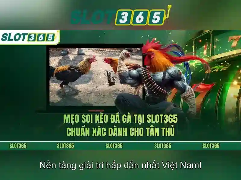 Slots cổ điển và video slots