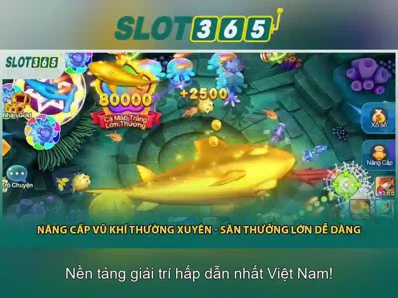 Cách tham gia và khuyến mãi