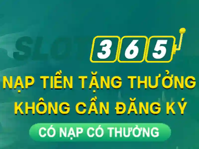 Trải nghiệm người dùng và hỗ trợ khách hàng Trải nghiệm người dùng và hỗ trợ khách hàng