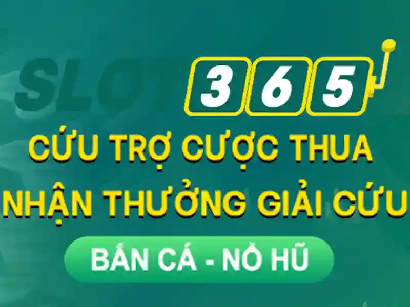 Khuyến mãi và thanh toán nhanh chóng Khuyến mãi và thanh toán nhanh chóng